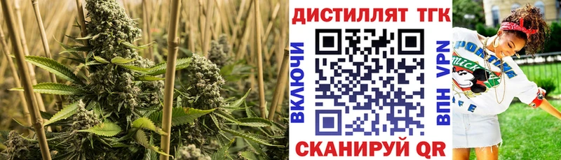 kraken зеркало  Горно-Алтайск  Дистиллят ТГК концентрат 